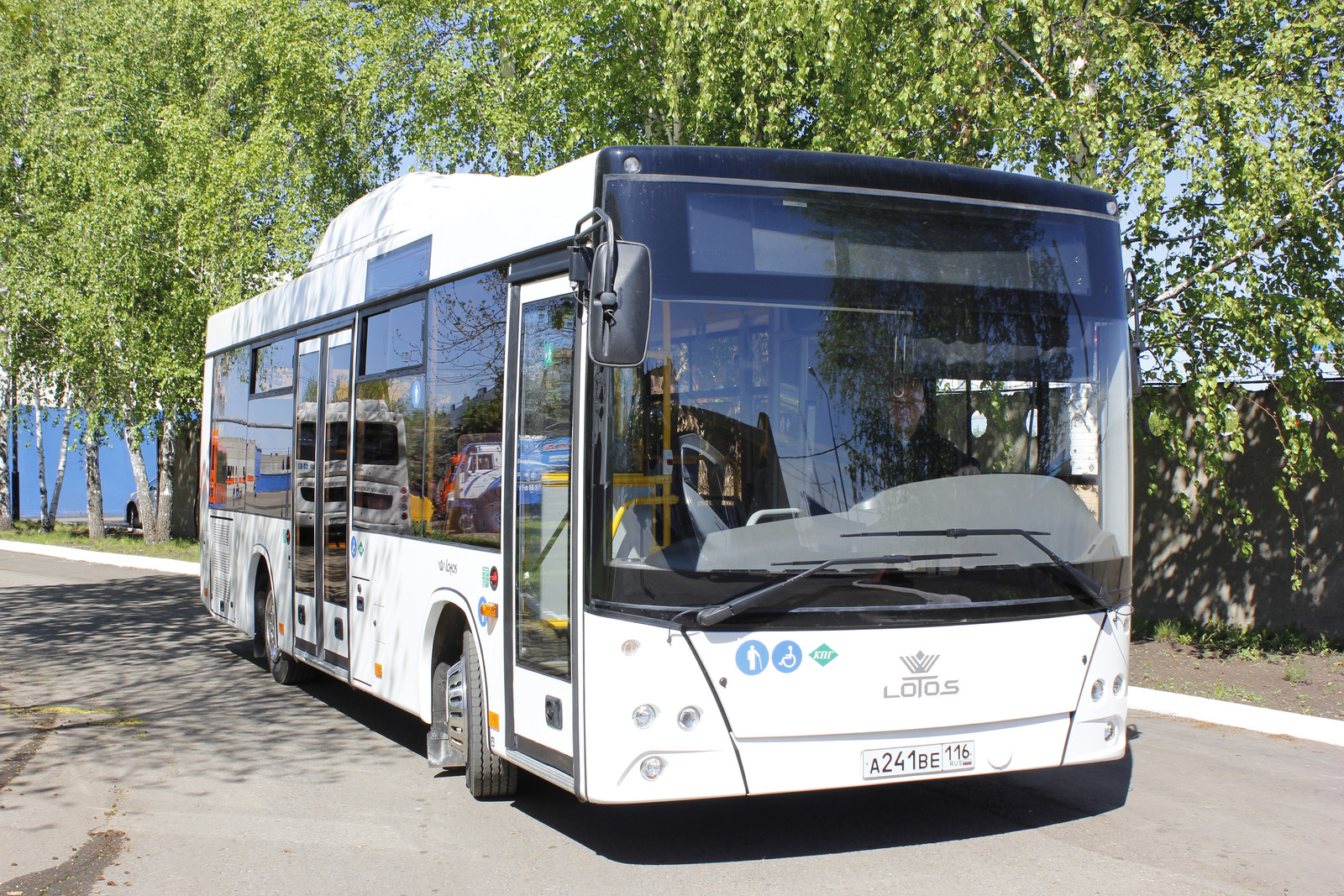Lotos 105 cng. Lotos 206. Автобус маз 206 лотос. Автобус маз лотос. Lotos 206.