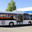 Городской низкопольный автобус LOTOS 206 СNG